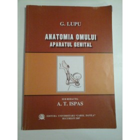 ANATOMIA OMULUI APARATUL GENITAL - G. LUPU